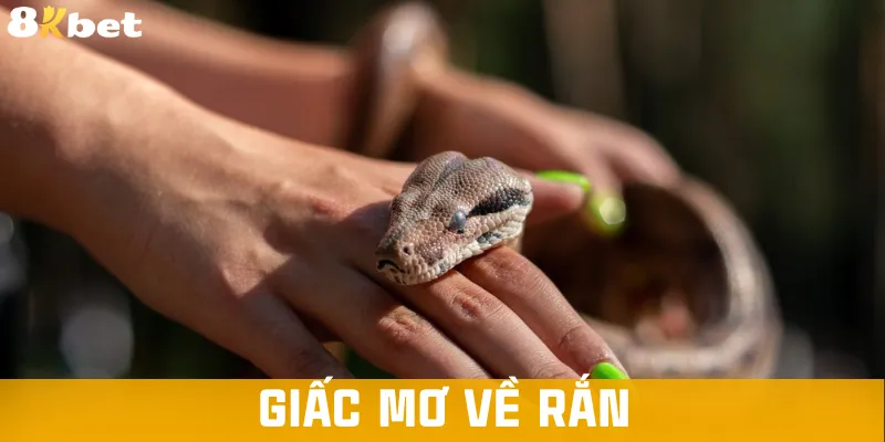 giac-mo-ve-ran